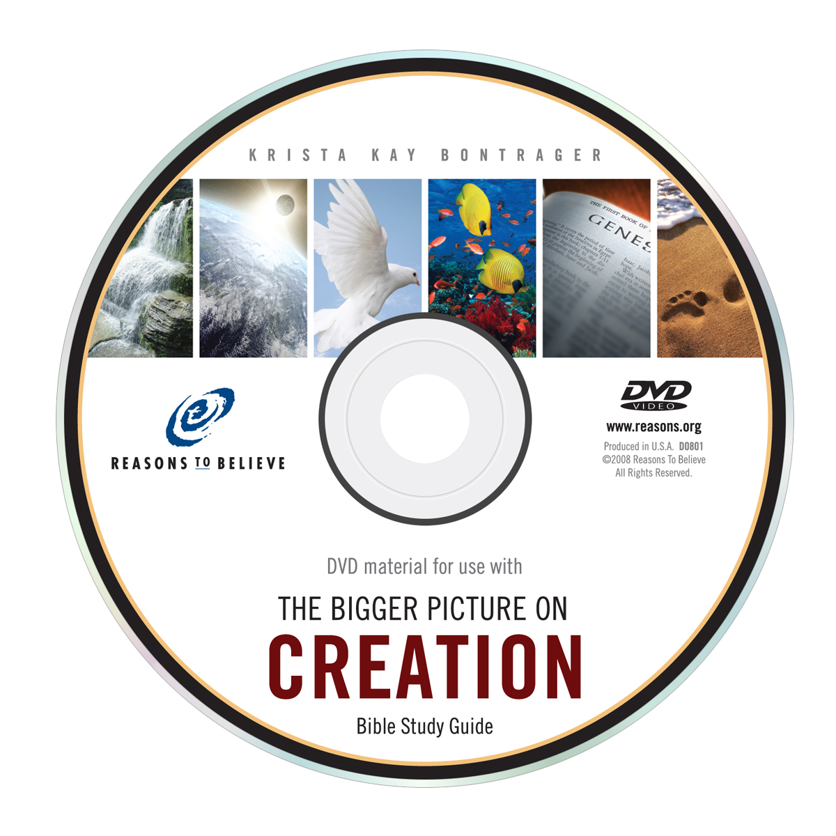 The Bigger Picture on Creation (Companion DVD); Krista Bontrager Image
