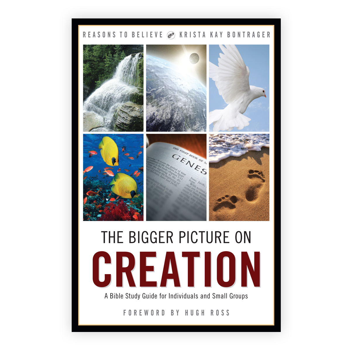 The Bigger Picture on Creation Study Guide Image